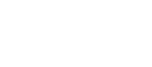 Proveedor de Servicios